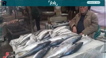أسعار الأسماك في كفر الشيخ تتغير الثلاثاء 21 أكتوبر 2025